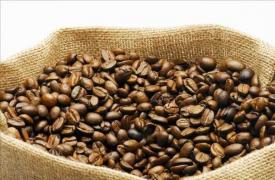 如何煮咖啡生豆？