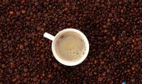 2014年菲律宾咖啡减产