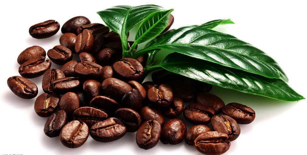 拯救咖啡豆