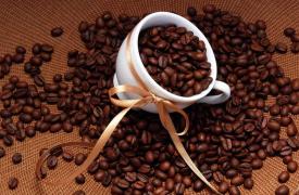  海南大宗商品交易中心即将上线咖啡品种