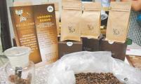 植菌发酵 兴大成功开发麝香猫咖啡