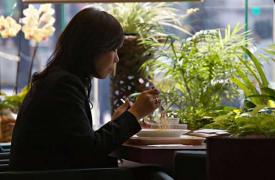 日本兴起“沉默咖啡馆”