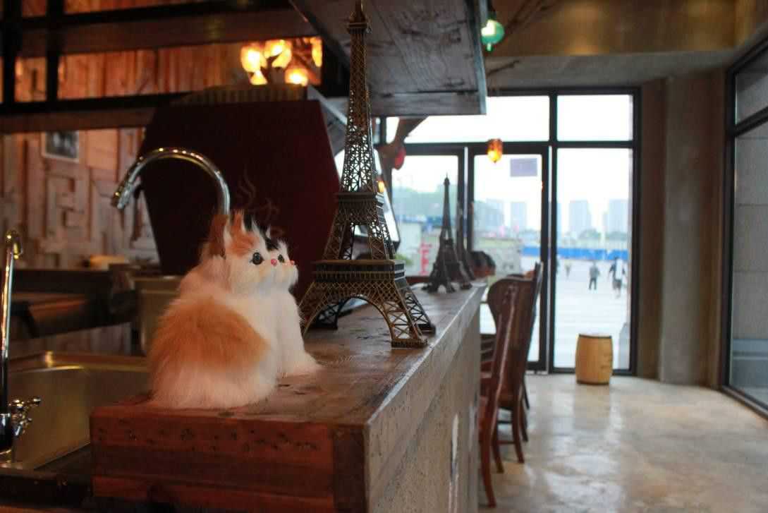 漫猫咖啡店内景图