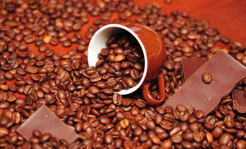 云南咖啡交易中心与咖啡品质学会 结成战略合作伙伴 