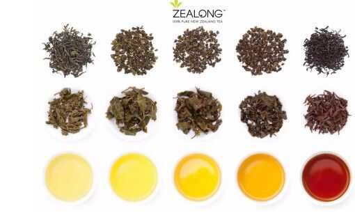 五种口味Zealong杰境茶