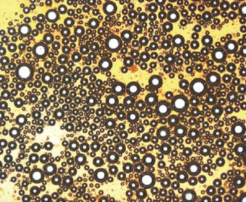 咖啡脂泡沫的微观结构图