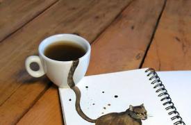 咖啡+猫的故事