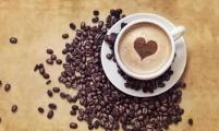 市咖啡行业协会召开第二次理事会