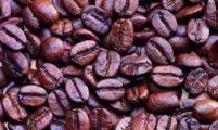 委内瑞拉咖啡价格上调至每公斤694.21玻币