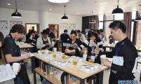 2016首届云南咖啡生豆大赛在普洱决出胜负 