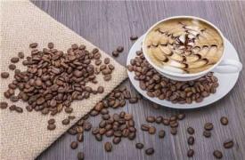 广州产迷你咖啡机占领日本一半市场