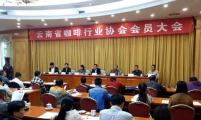 云南省咖啡行业协会在昆召开会员大会