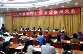 云南省咖啡行业协会在昆召开会员大会