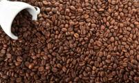 云南咖啡出口量3年后缩减90%