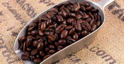 肯尼亚本种植季咖啡