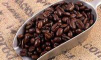 肯尼亚本种植季咖啡收入下降9%