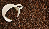 墨西哥咖啡产量降到45年来最低