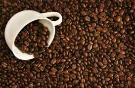 中国第二家正版TeddyCoffee泰迪咖啡佛山店开业