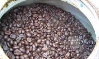 西藏首次引种试种咖啡　未来将打造咖啡“藏字号”