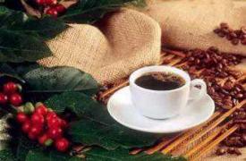 咖啡豆和咖啡粉哪个好 这些咖啡你爱喝哪个牌子？