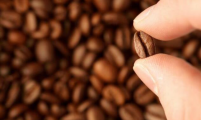 选对咖啡加盟品牌，规避投资创业风险