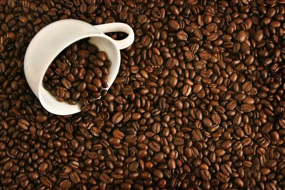 台湾精品咖啡豆 嘉义县获13奖项 - 独家报道 - 咖啡新闻 - 国际咖啡品牌网