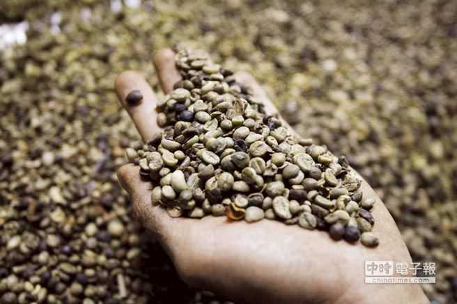越南咖啡豆