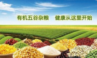 天然食品神，返扑又归真——2016上海有机食品展