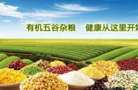 天然食品神，返扑又归真——2016上海有机食品展