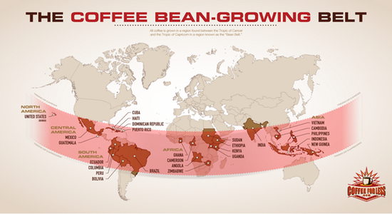 咖啡生产带