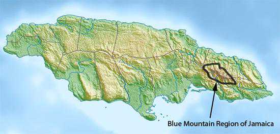 蓝山山脉位于牙买加东部