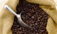 上半年普洱咖啡豆出口再创历史新高