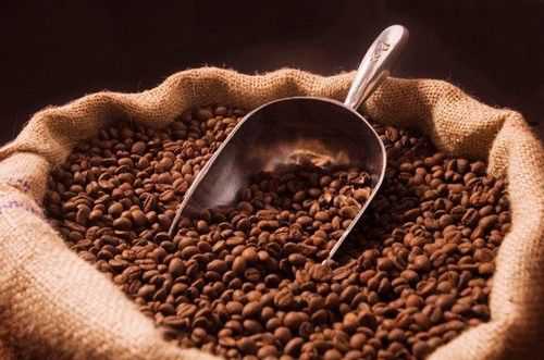 研究显示本世纪末咖啡豆或会完全灭绝