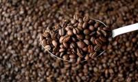 阿拉比卡咖啡豆期价走扬