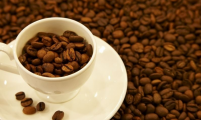 越南罗布斯塔咖啡豆价格连续上涨