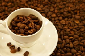 越南罗布斯塔咖啡豆价格连续上涨