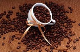 2080年野生咖啡豆或将消失 中国万亿咖啡产业仍雾里看花