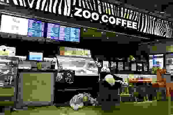 充满了萌物的Zoo Coffee