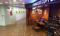 “星巴克老伯”洪水中淡定喝咖啡热爆网络