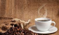 本年度萨尔瓦多咖啡出口减17%