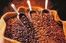 咖啡业界大咖普洱“论剑”