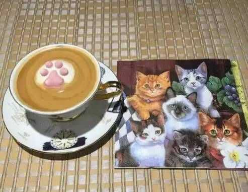 地中海猫咪主题咖啡