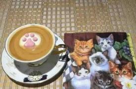 加盟漫猫咖啡生活馆 给你一个盈利的空间