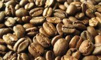 普洱咖啡产业开启“全链”时代