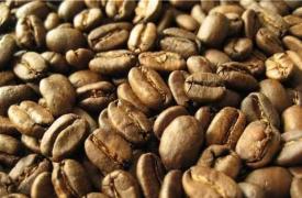 普洱咖啡产业开启“全链”时代