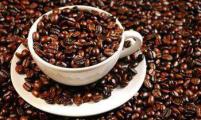 肯尼亚咖啡世界排名处领先地位