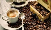 世界咖啡科技高峰会将在萨尔瓦多召开