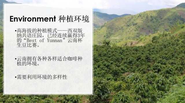 Environment种植环境