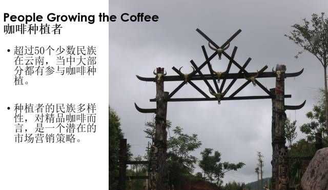 咖啡种植者