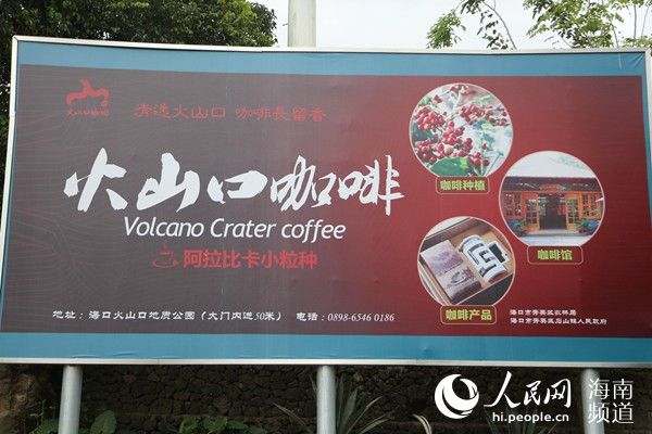 石山互联网农业小镇精品农作物：火山口咖啡